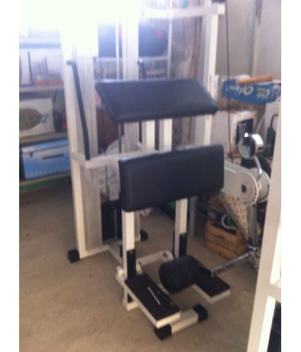 Curl in piedi Technogym